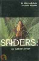 Spiders: An introduction 